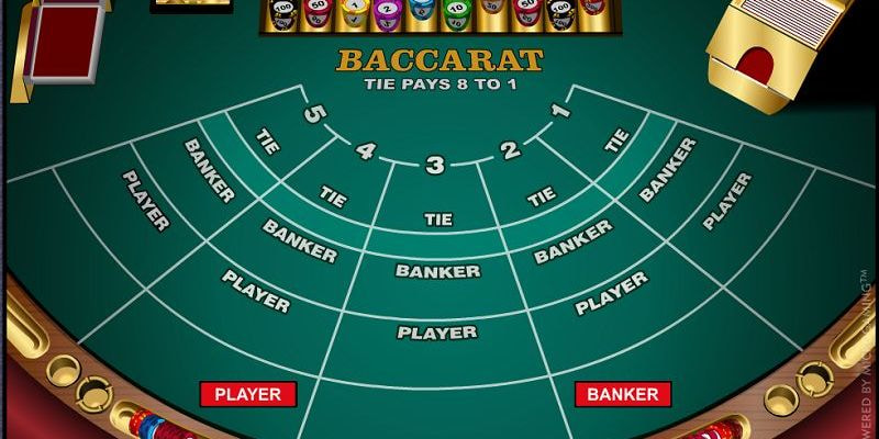 Các cửa cược trên bàn Baccarat