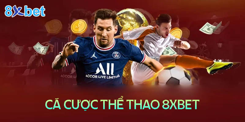 Cá độ bóng đá tại nhà cái đỉnh cao 8xbet được gì?