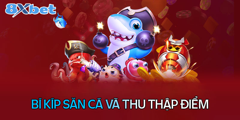 Bí kíp săn cá thu thập điểm thưởng