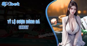 Tỷ lệ cược bóng đá 8XBet - Cách tìm cơ hội lợi nhuận cao